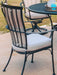 OW Lee Monterra dining arm chair with the optional back cushion tied on