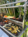 Food warming on the rack above a Tagwood grill