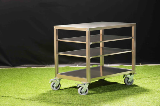 Tagwood BBQ10SS PRO stainless working table